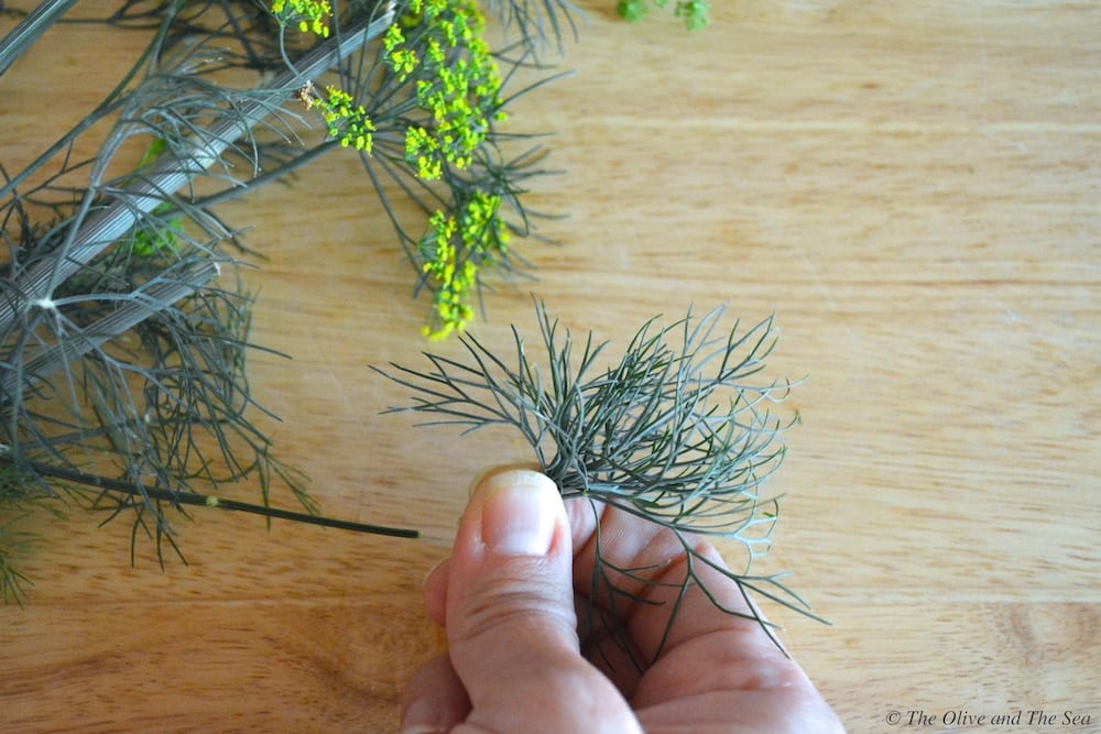 Can You Freeze Dill Weed
