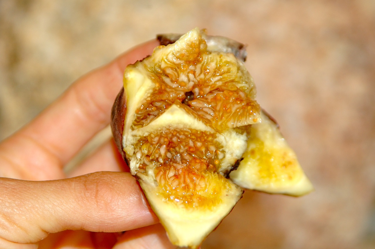 Do You Eat the Skin on Figs