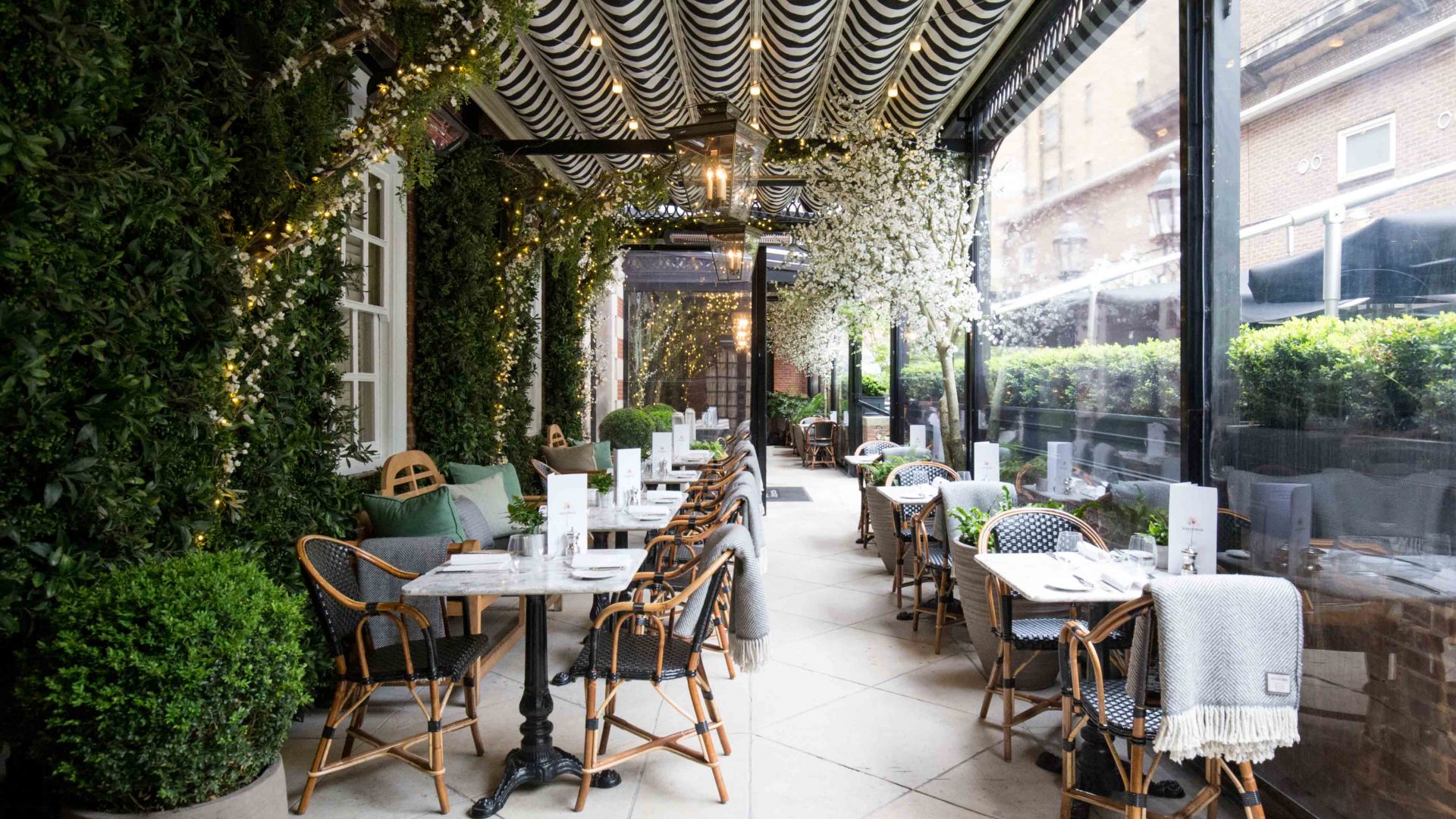 Dalloway Terrace Great Russell Street London