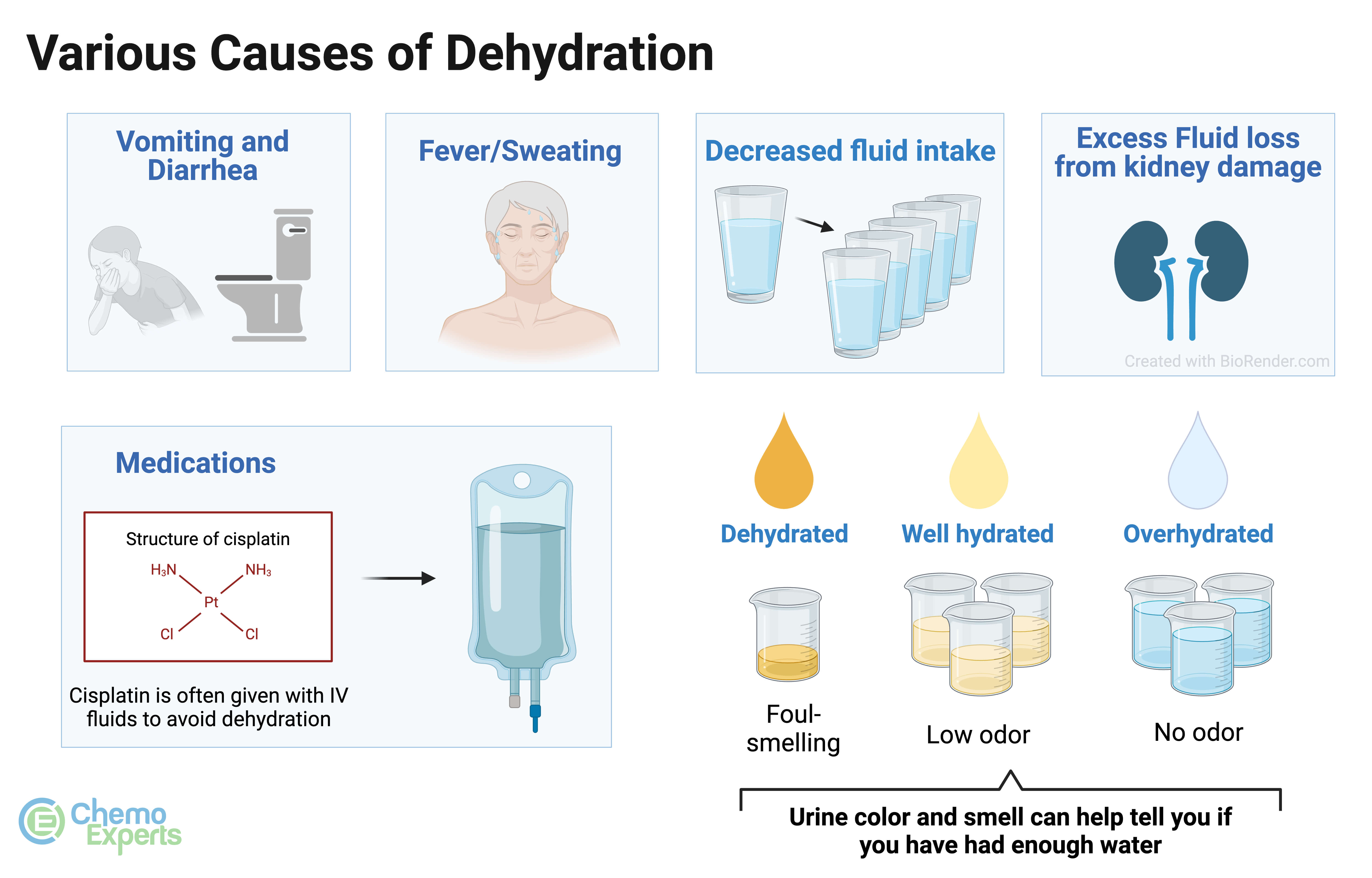 Does Dehydration Make You Vomit