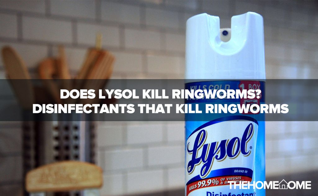 Does Lysol Kill Ringworm on Surfaces