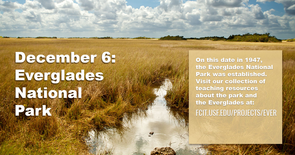 What Year Was Everglades National Park Established