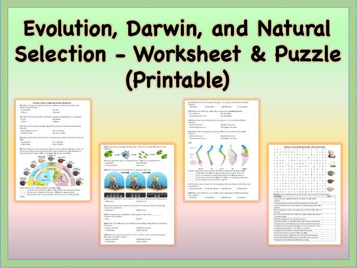Darwin Natural Selection Worksheet Answer Key