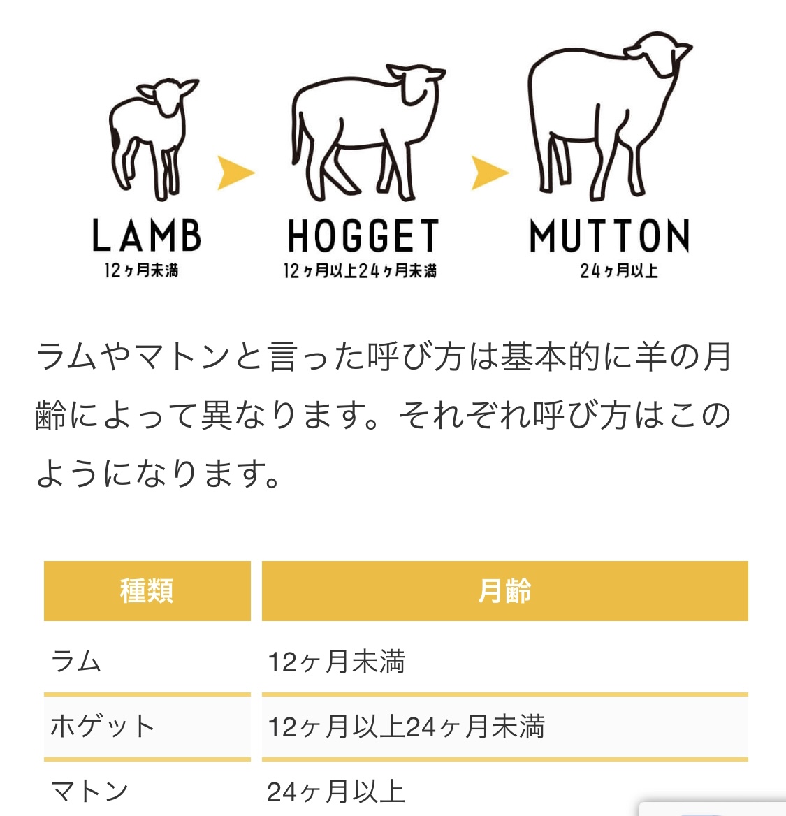 ラムとマトンの違いを完全解明！年齢・味・栄養から選び方まで徹底比較