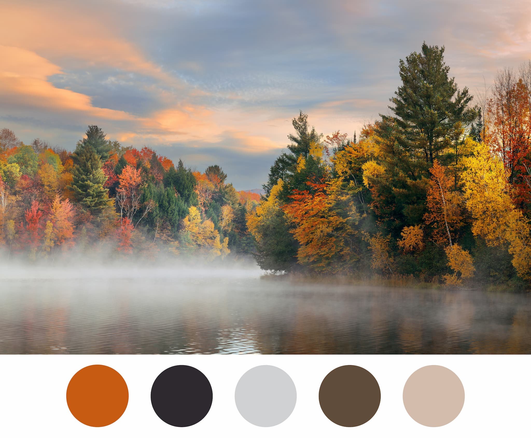 Fall Colors for Photos