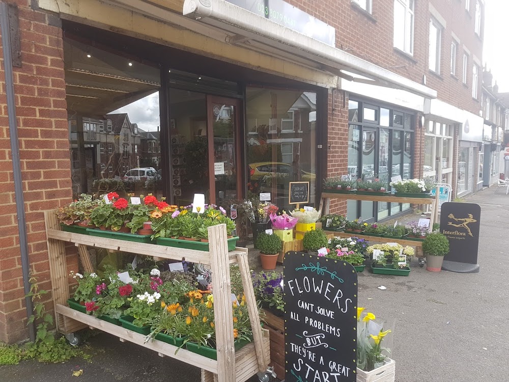 Florists Bassett the Flower Shop in Southampton