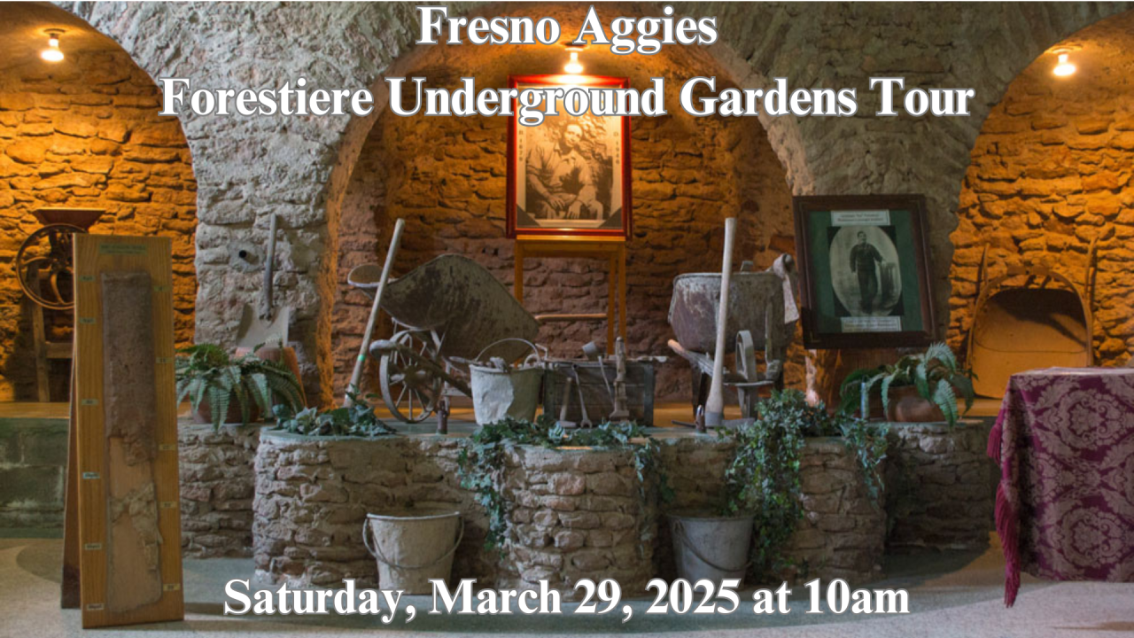 Forestiere Underground Gardens Tickets Price