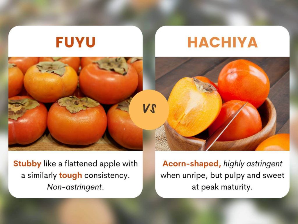 How to Know If Fuyu Persimmon Is Ripe