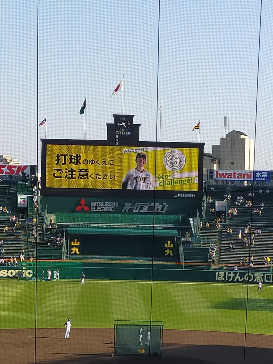 阪神タイガース掲示板の裏側！試合速報と采配論争の真相【2026】