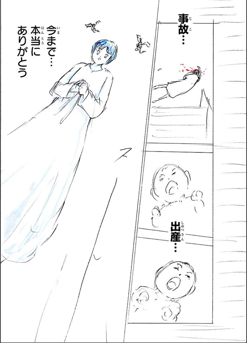 キャプテン翼の早苗死亡説はデマ！交通事故の真相と双子出産の現在