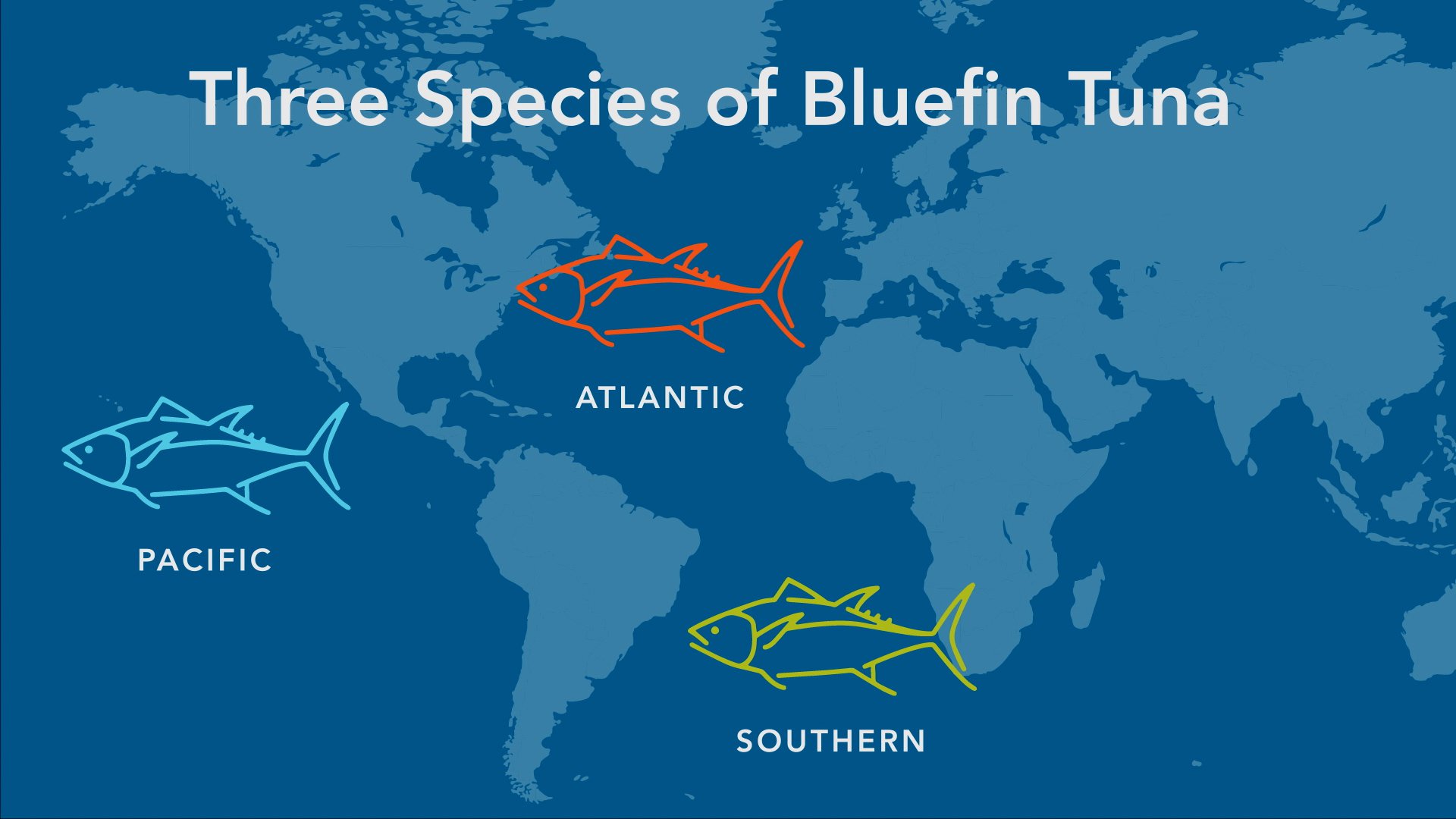 Where Does Tuna Fish Come From