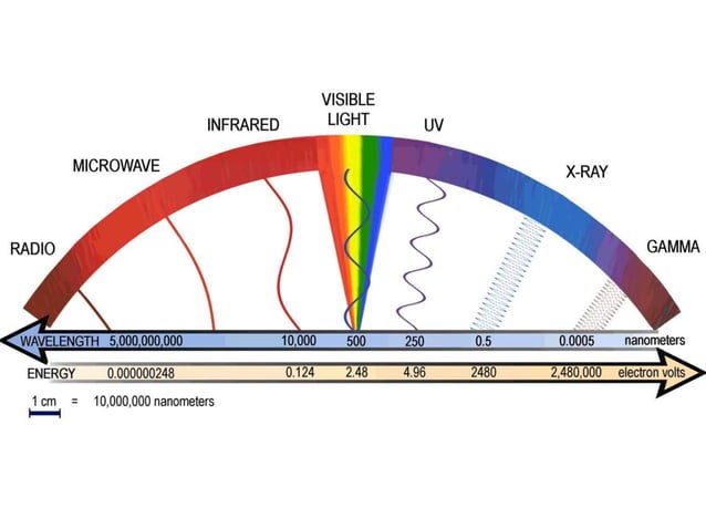 Gamma Rays Size