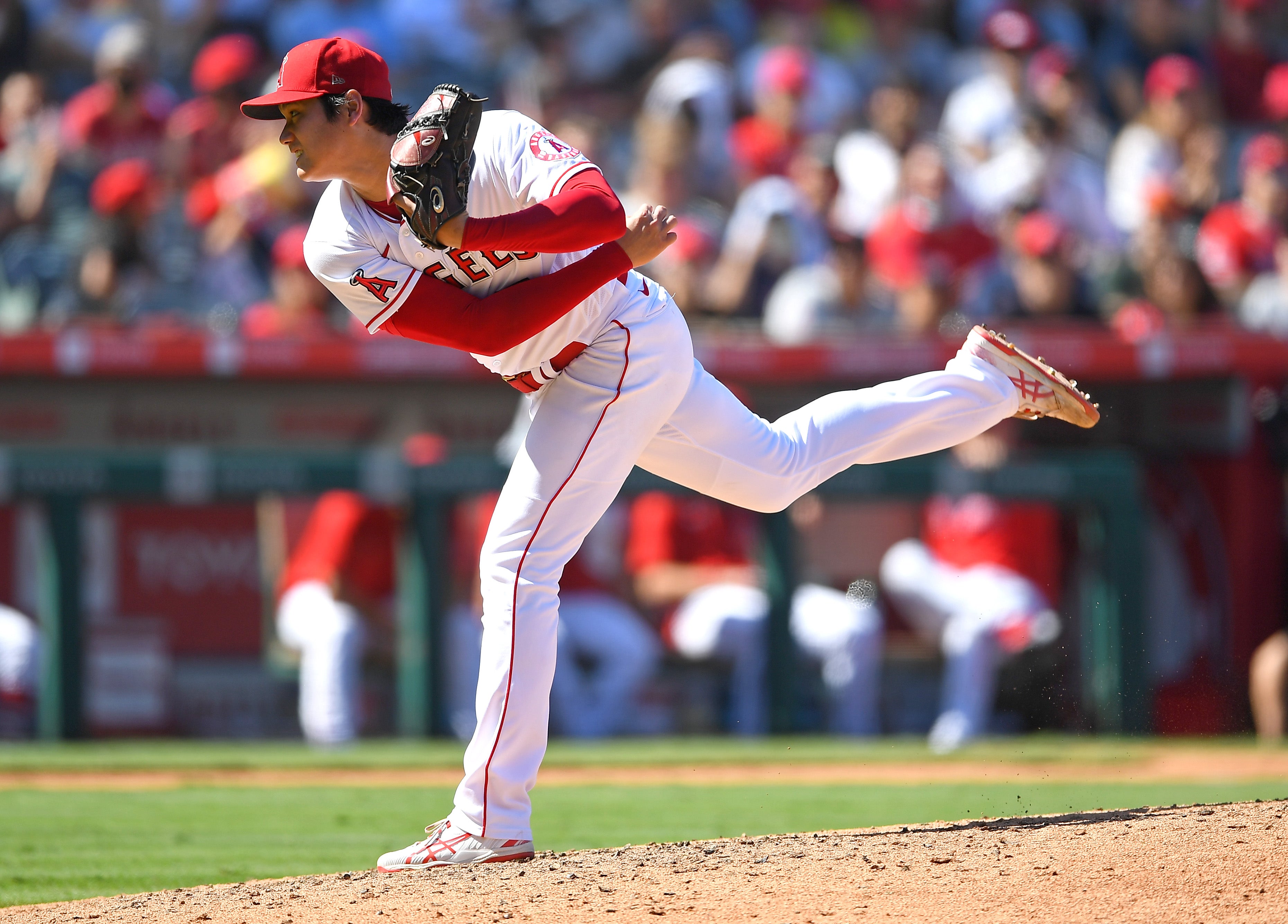 Shohei Ohtani 2026