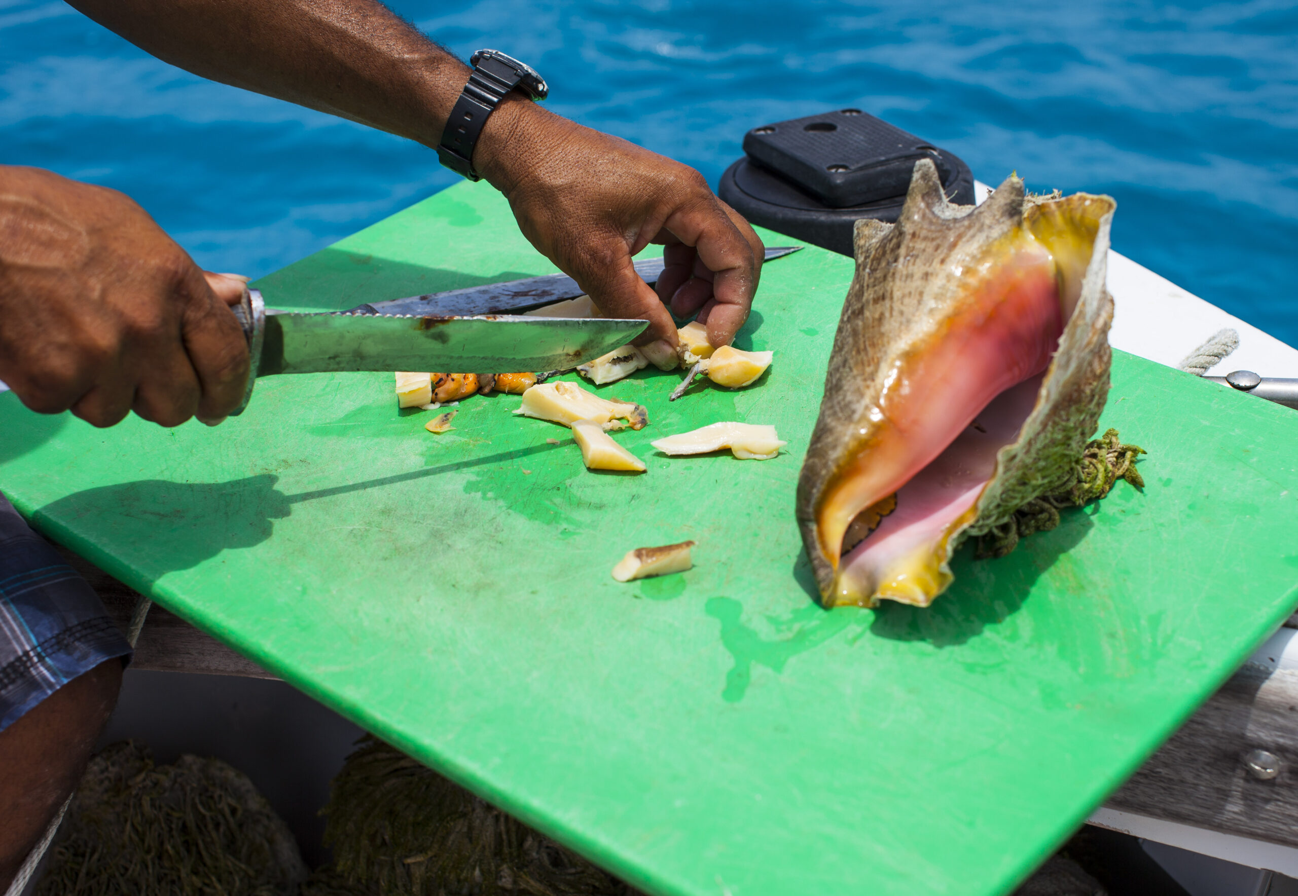 How to Cook Conch