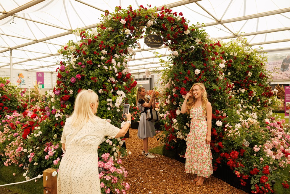 Tomings for a Day at Chelsea Flowers How