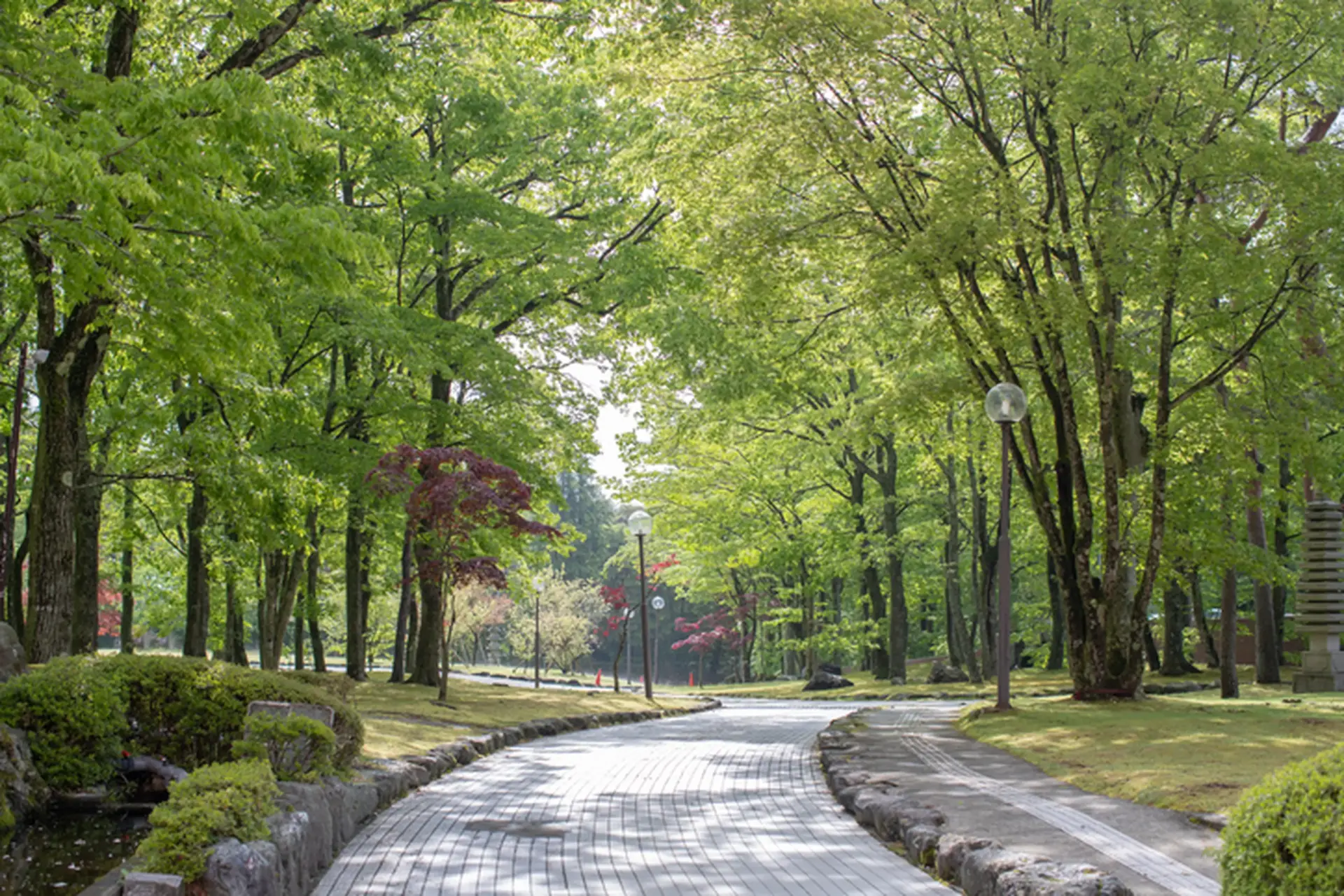 西東京いこいの森公園を完全攻略！Bbq予約から駐車場・遊具まで徹底解説
