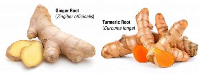 Is Yellow Ginger Same as Turmeric