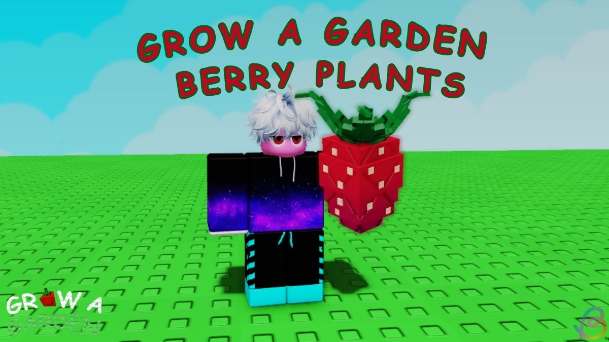 Berry Fruits in Grow a Garden Roblox