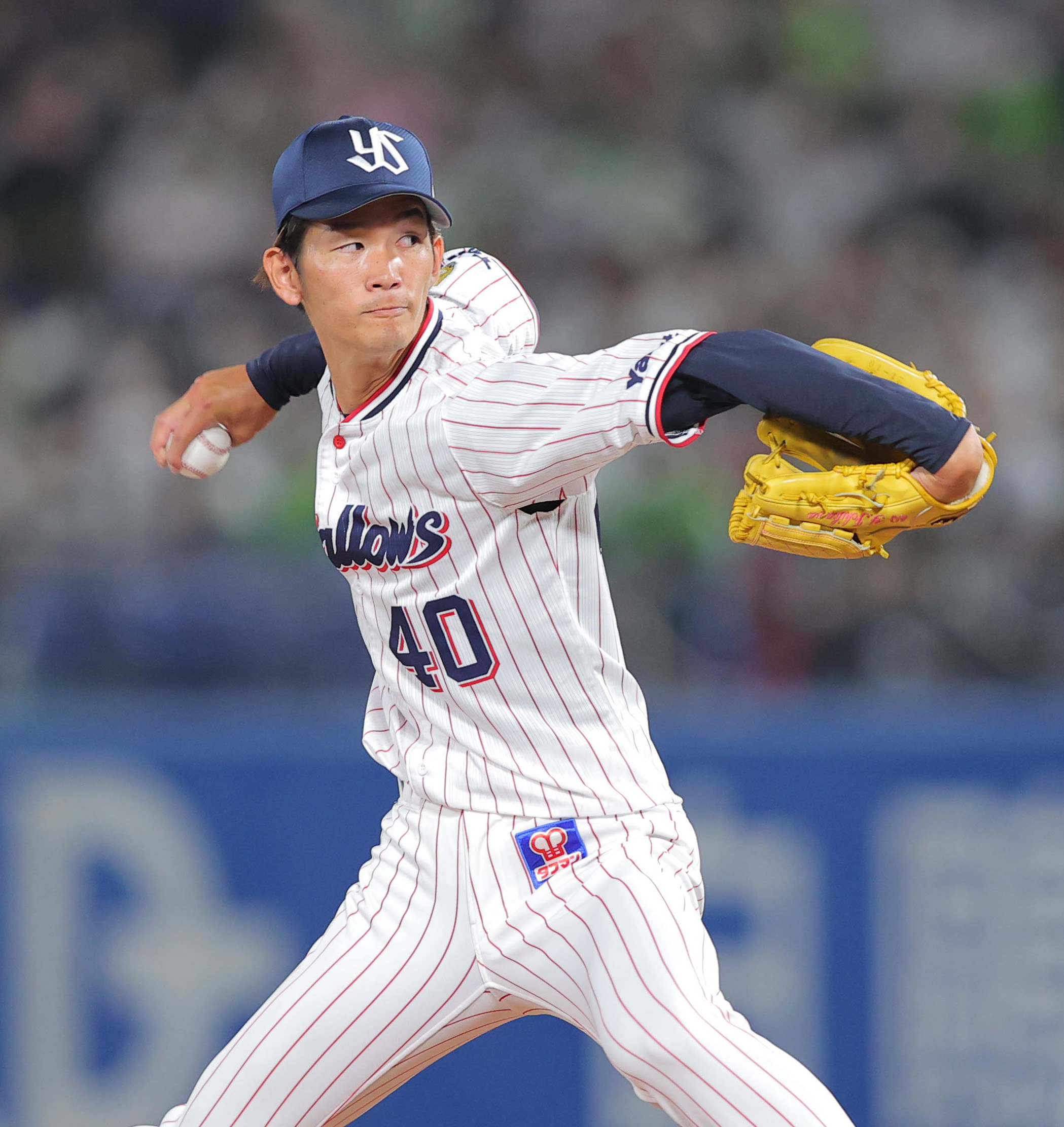 市川ヤクルトの宅配評判と真相！ヤクルト1000定期購入＆最新拠点