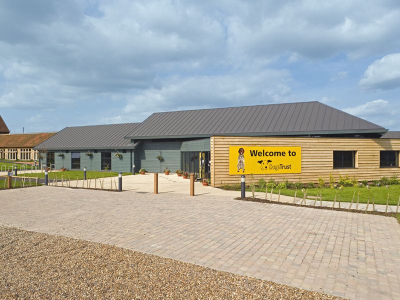 Dogs Trust Harefield West London Rehoming Centre Photos