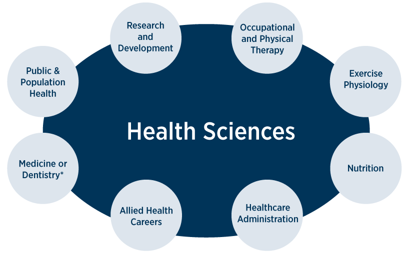 What Is Health Science About