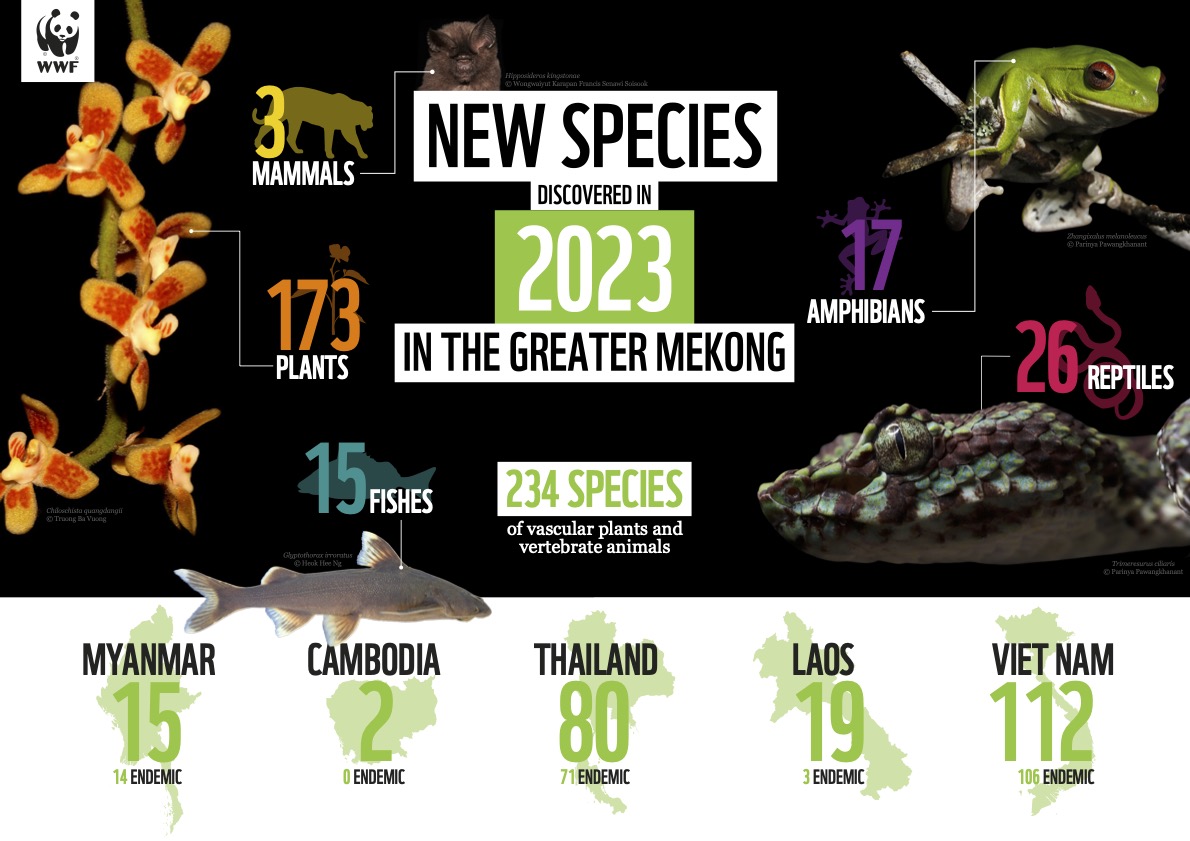 How Many Unique Species Are Alive on Earth Today