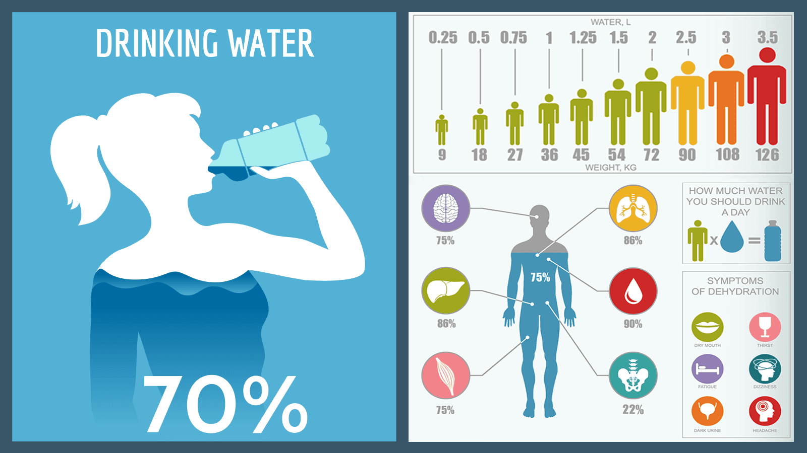 How Much Water Should U Drink