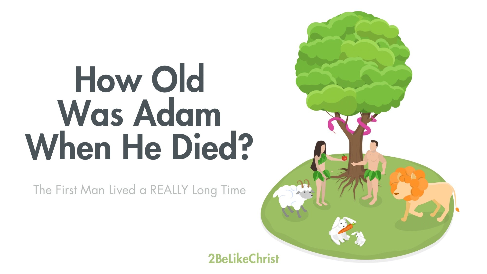 How Old Was Adam When He Died