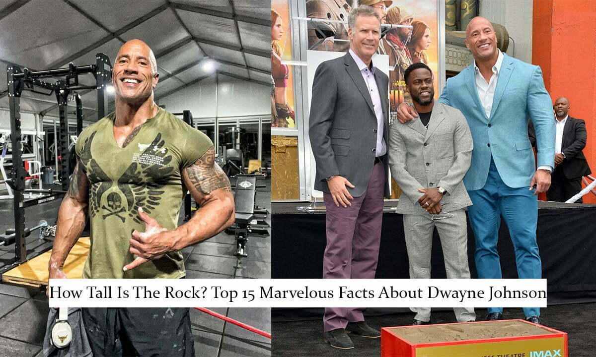 Height and Weight of the Rock