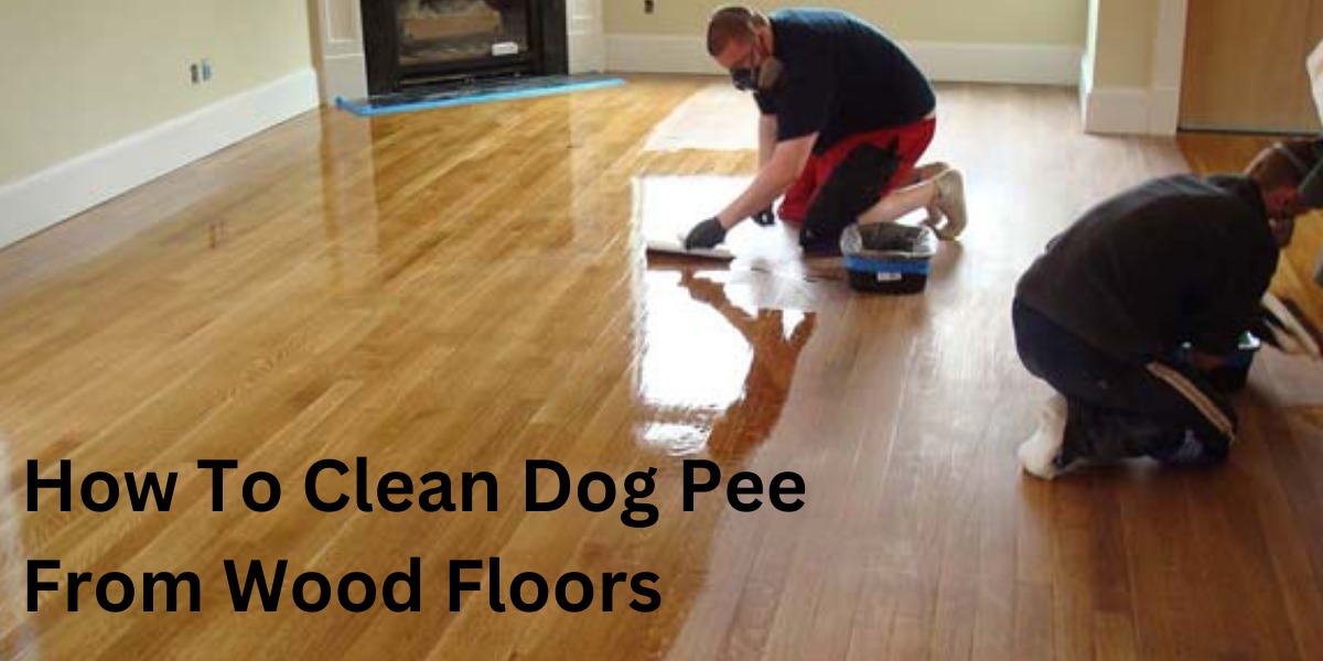 How to Clean Dog Pee from Hardwood Floors