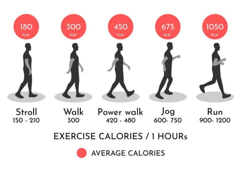 How Many Calories Do You Burn in an Hour Walking