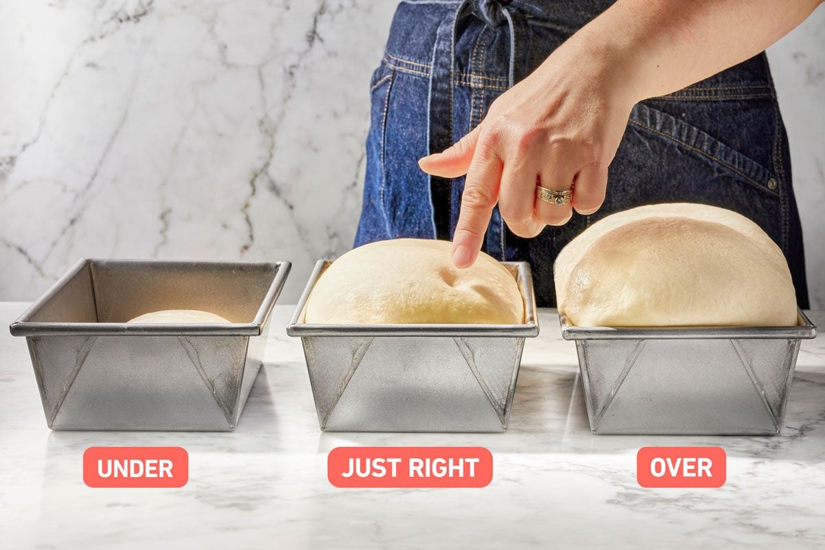 Can I Proof Bread in the Oven