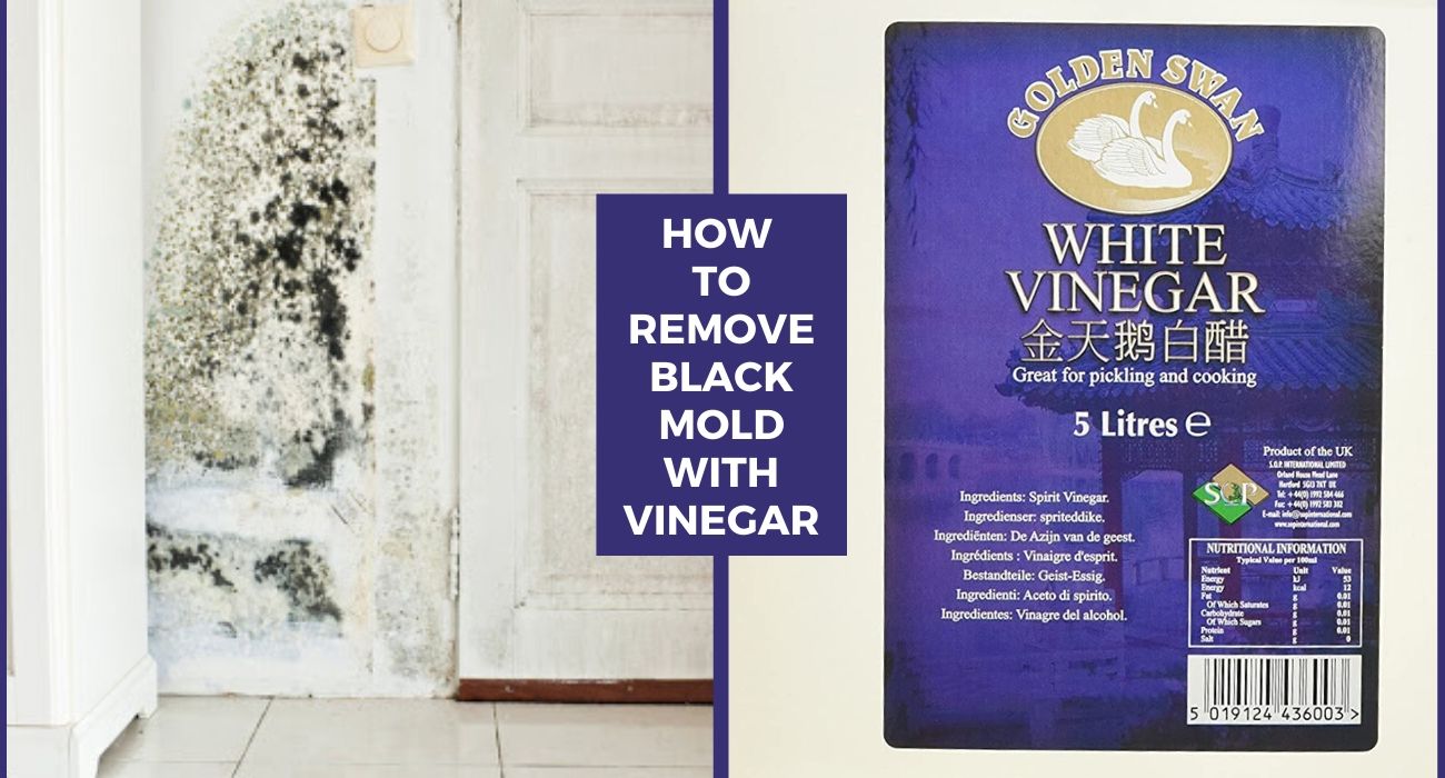 Does White Vinegar Kill Black Mold