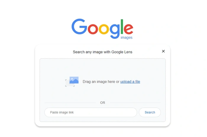 Google Image Search Assistant