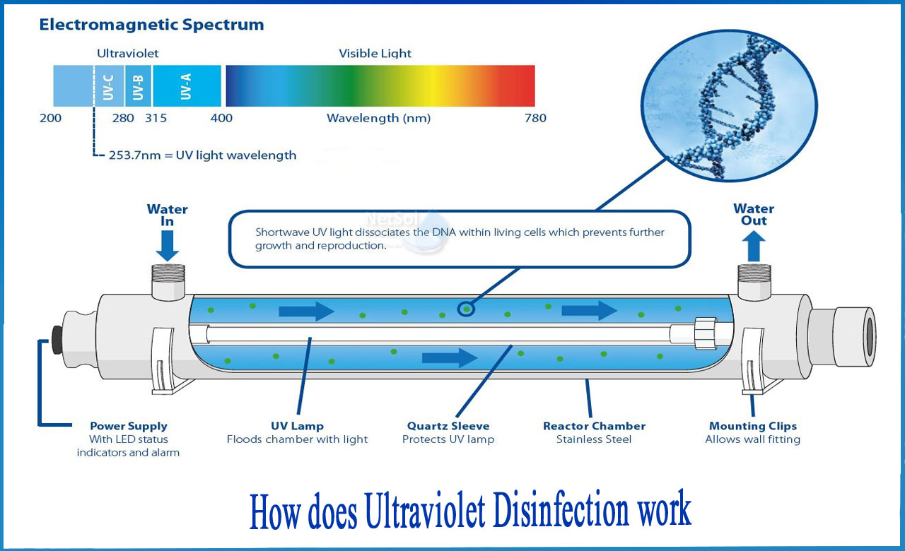 What Does Uv Light Do to Water