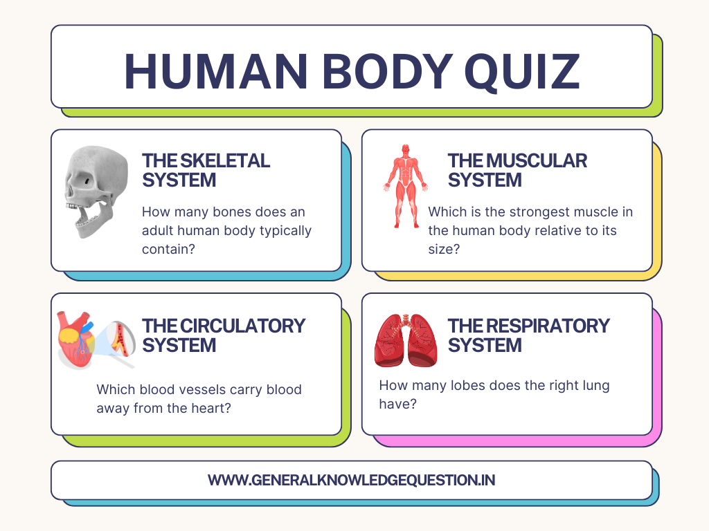 Human Anatomy Trivia Questions and Answers