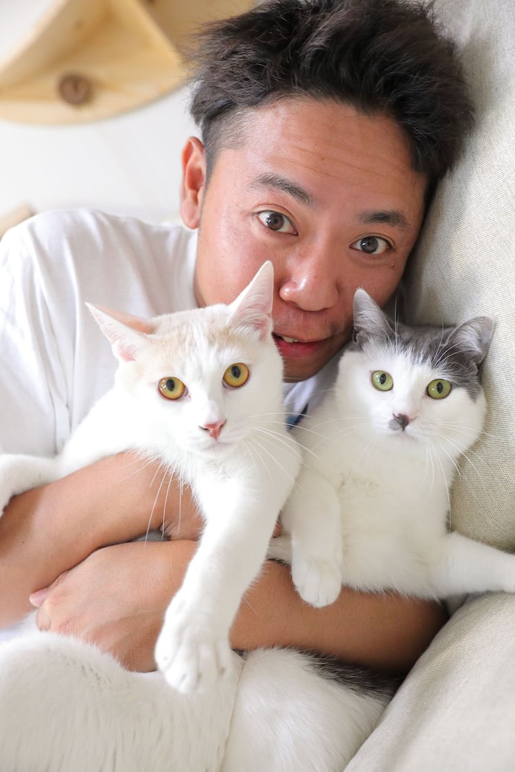 サンシャイン池崎と保護猫の2026年現在！風神雷神＆歴代預かり猫の軌跡