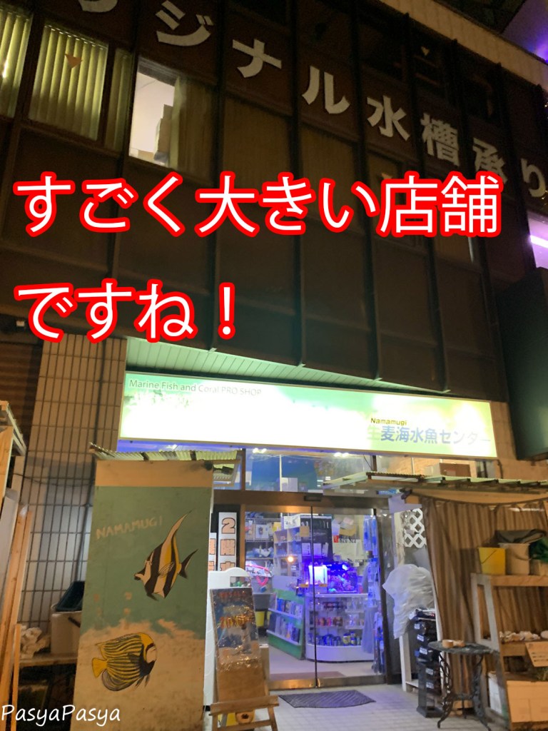 生麦海水魚センターの真実｜評判・入荷情報から通販と水槽設置まで徹底検証
