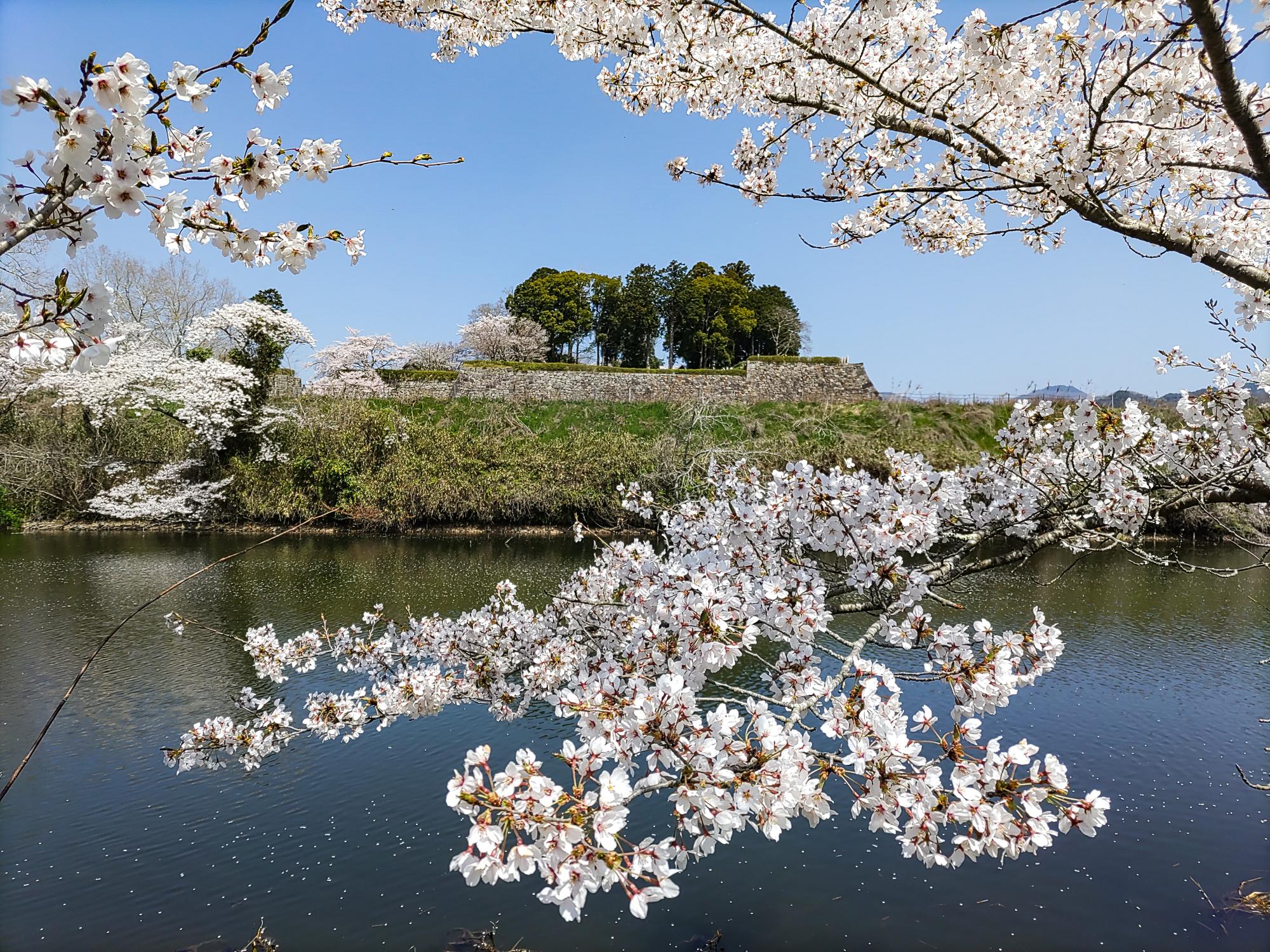 城下町に息づく美味と歴史の深淵！丹波篠山を五感で巡る極上旅