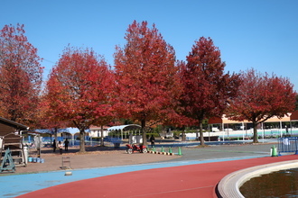 【真相】 加須 は な さき 公園 最新画像・動画まとめ #762