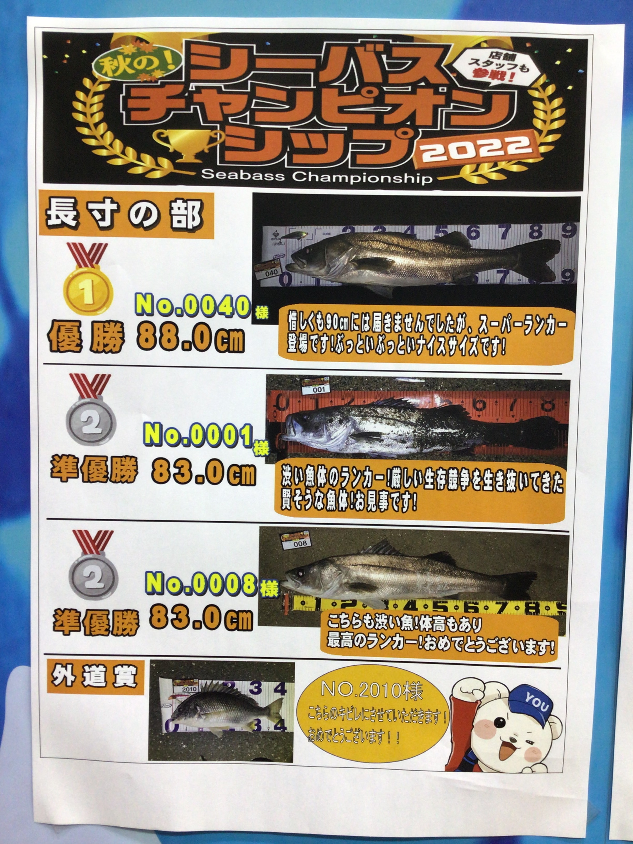【2026最新】チャンピオンシップ結果速報！波乱の勝因と王座の全貌