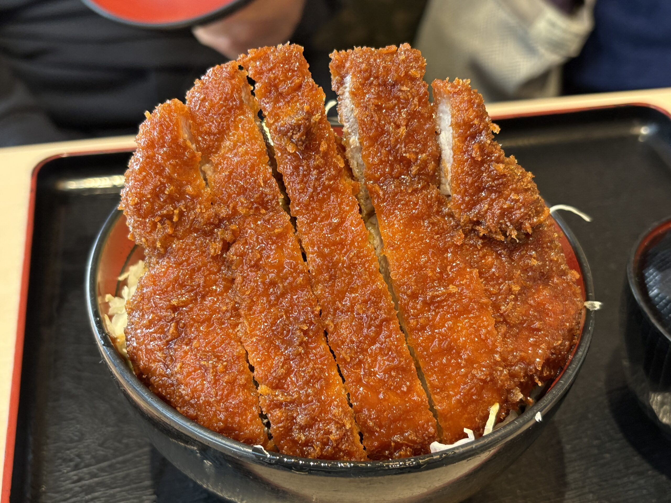 明治亭長野駅店を行列なしで攻略！名物ソースかつ丼とテイクアウト術