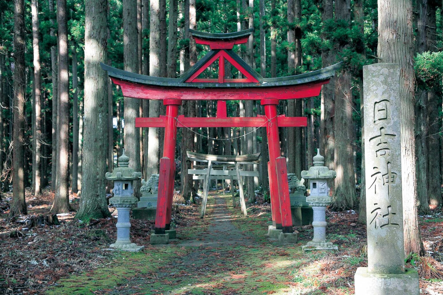 日吉山王神社の魔除け伝説！神猿の謎と限定御朱印の秘密を追う