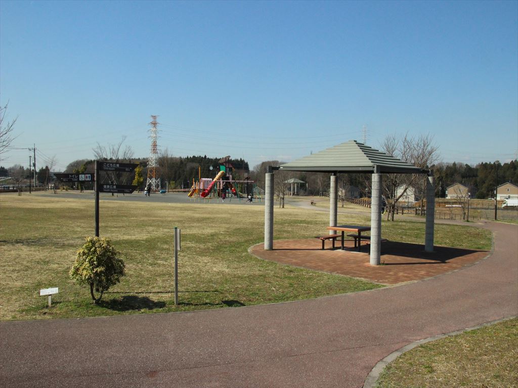 Lrt開業で劇的進化！テクノさくら公園のお花見最新事情と穴場