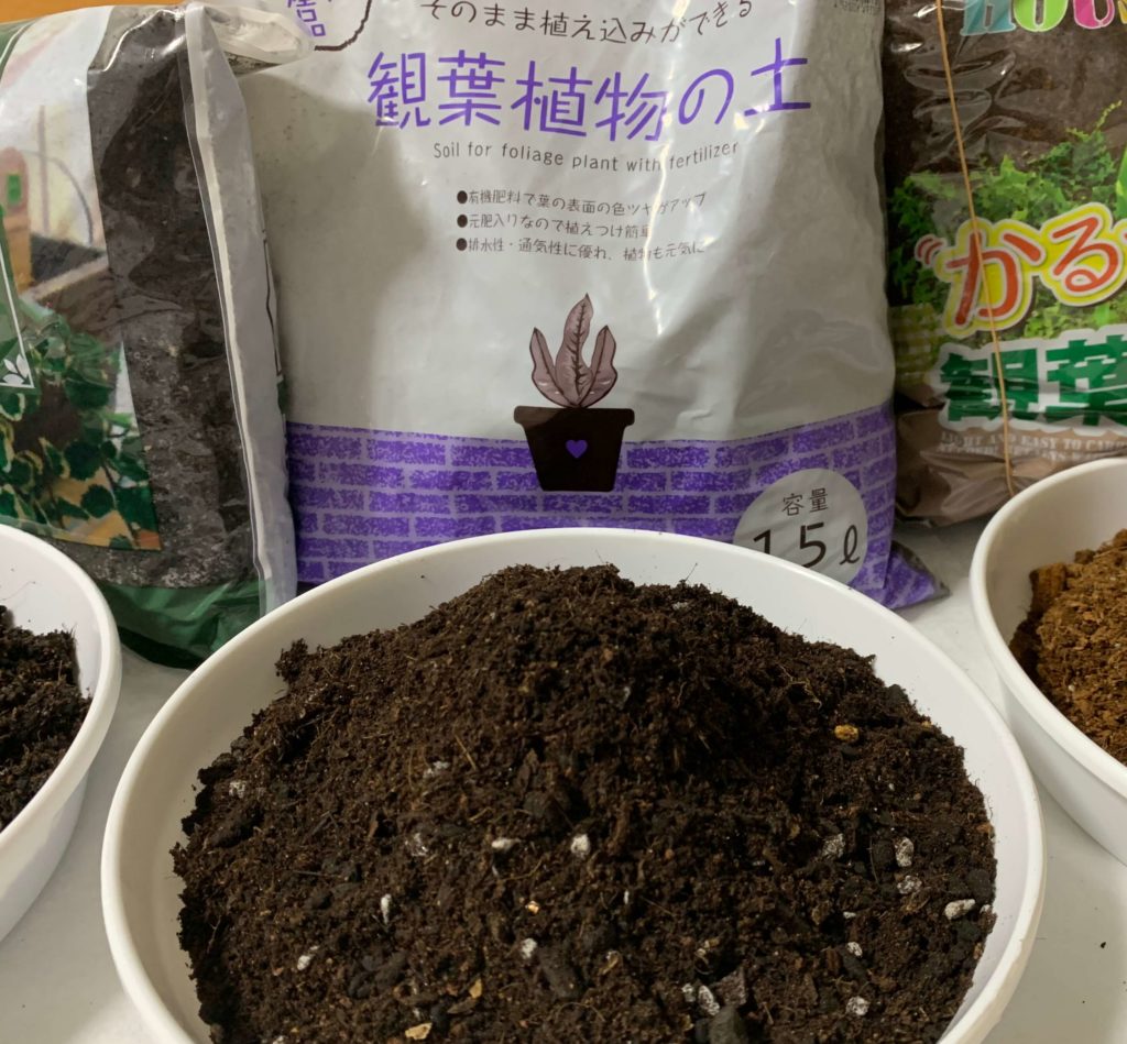 【2026年最新】観葉植物を枯らす原因の9割は「土」にあった！プロが選ぶ清潔＆失敗しない培養土の全貌