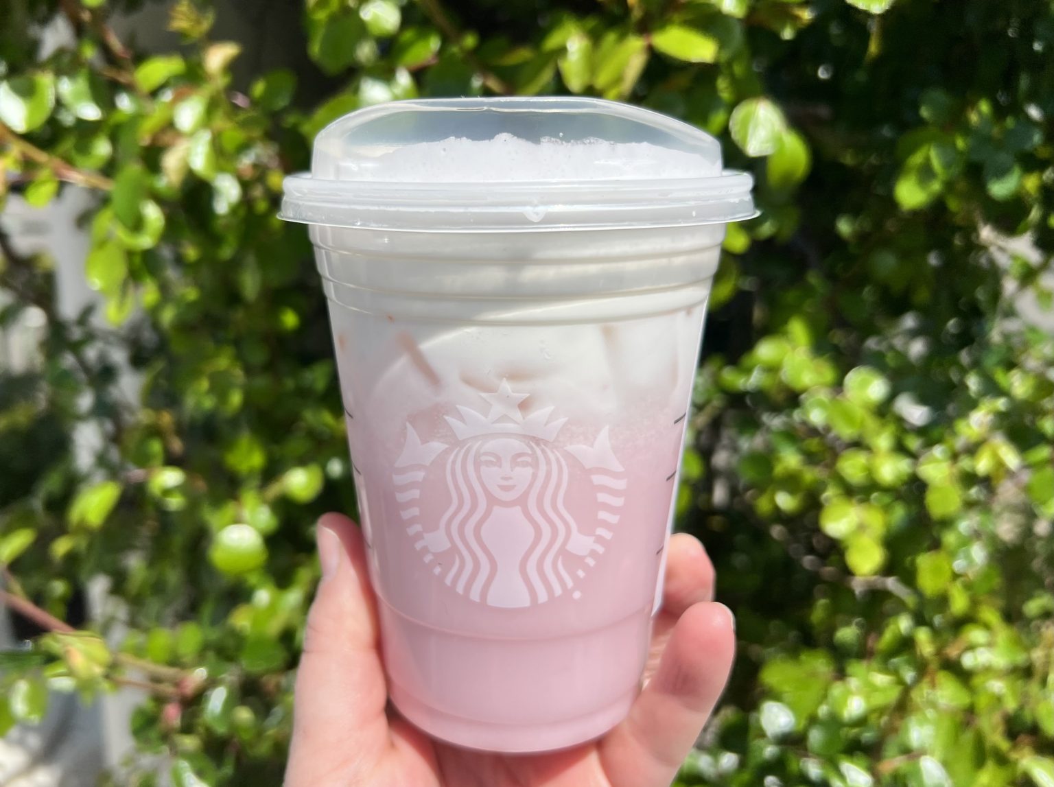 Pink Drink Cold Foam