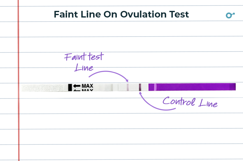 Ovulation Faint Line