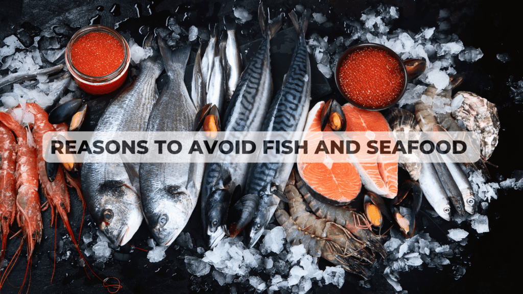 Is Seafood Bad for You