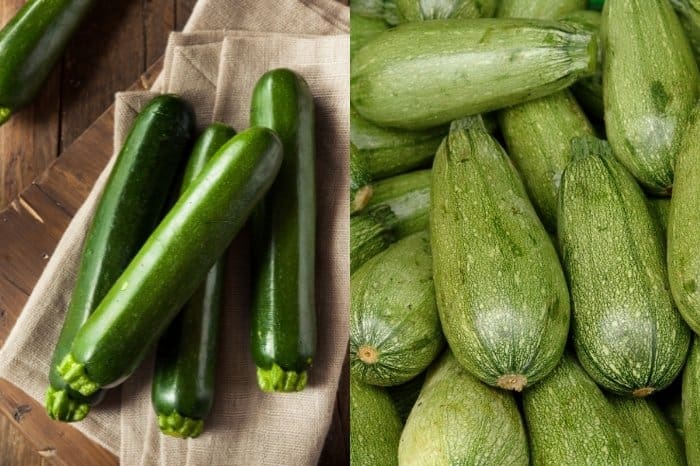 Is Green Squash the Same as Zucchini