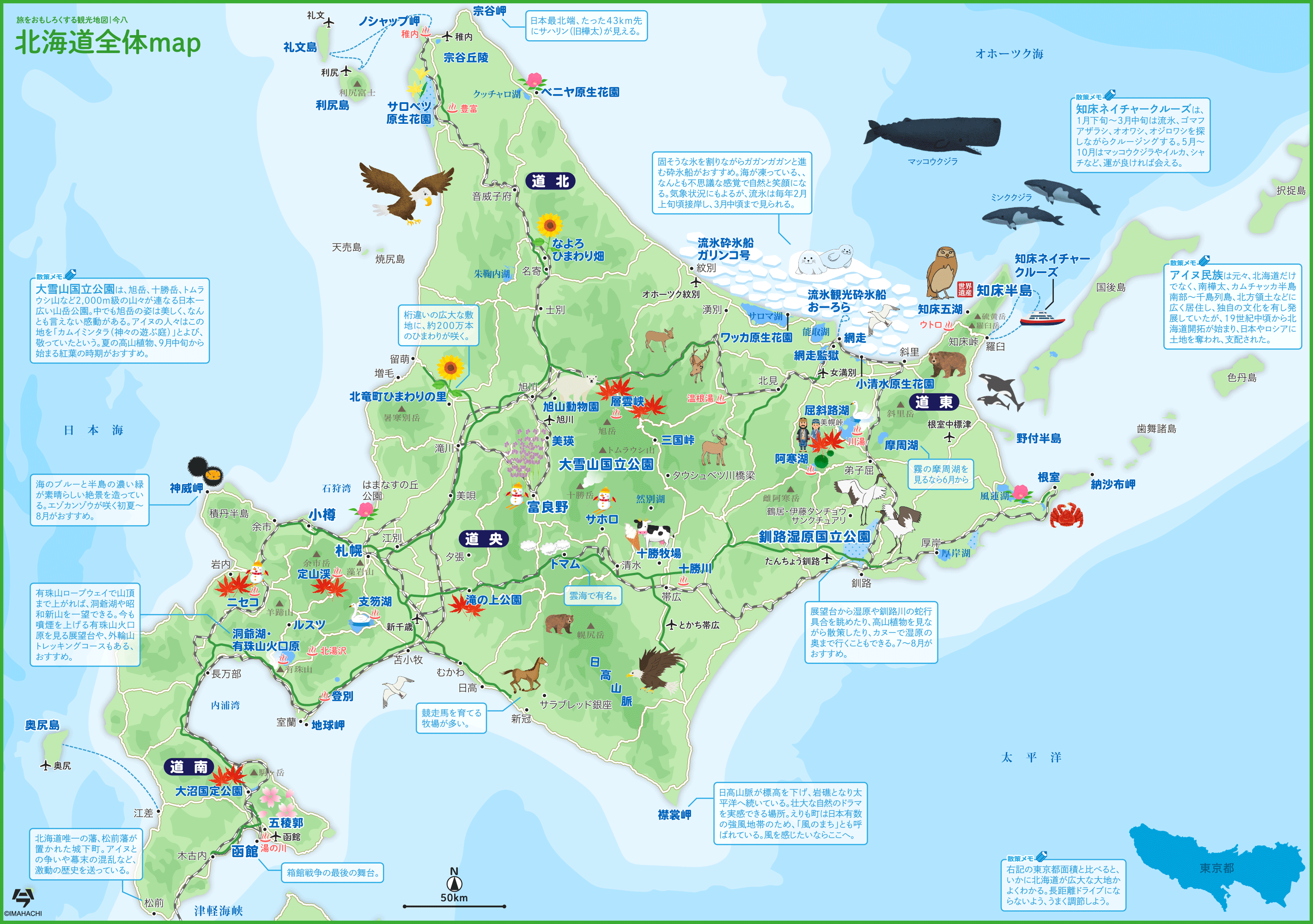 北海道神宮ライブカメラで混雑回避！2026年の積雪状況や参拝ピークを徹底解説